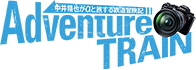 Adventure TRAIN