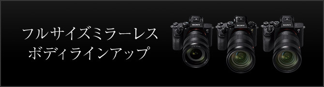 tTCY~[X {fBCAbv