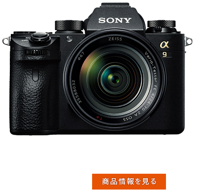 α9 iy[W
