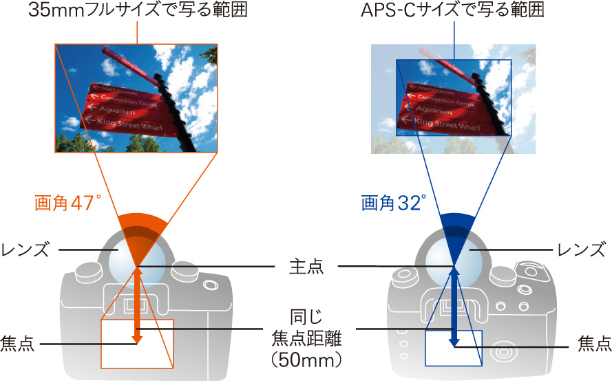 APS-CTCY35mmtTCY̎ʂ̈Ⴂ