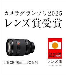 FE 28-70mm F2 GM (SEL2870GM) JOv2025 Y܎