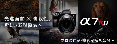 i掿 ~ rqBV\̈ 7R IV SPECIAL CONTENTS