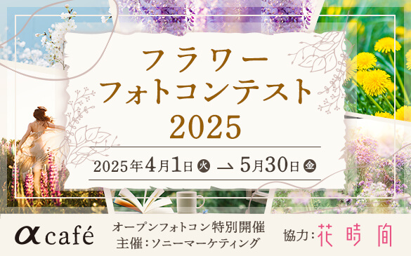 cafe t[tHgReXg2025 2025N41()530()܂Ł@I[vtHgRʊJ  \j[}[PeBO  Ԏ