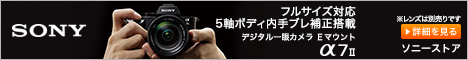 ソニーストア